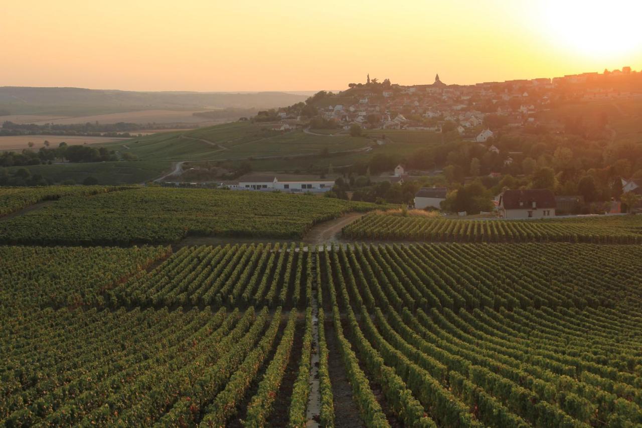 Lodge De La Vigneronne Châtillon-sur-Marne 외부 사진